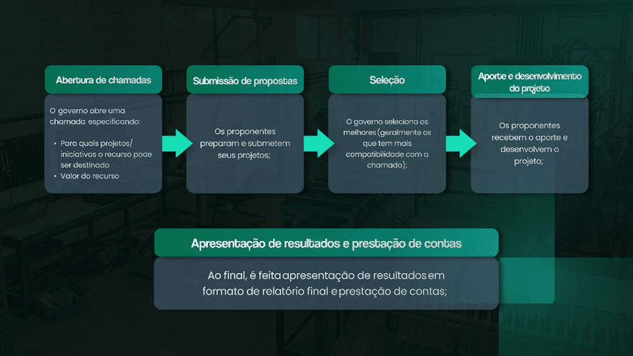 Processo para editais de fomento