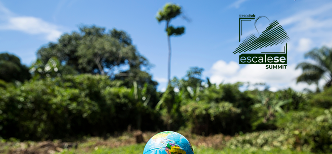 Imagem ilustrativa: Sustentabilidade